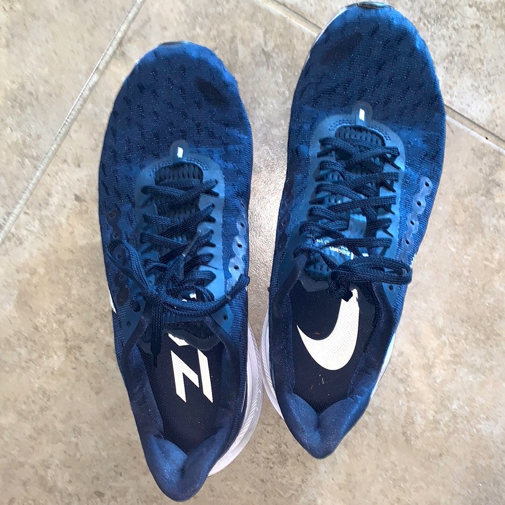 Nike zoom Pegasus